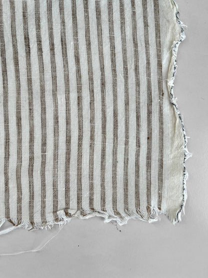 Cacao Track Stripes 6mm